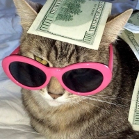 Работа в Санкт-Петербурге под ИНДИ